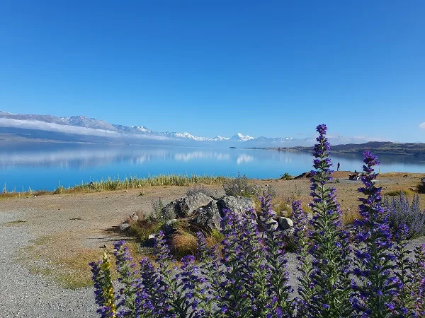 Wasser und Berge auf der Südinsel Neuseelands